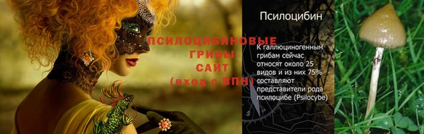 МДМА Заволжье