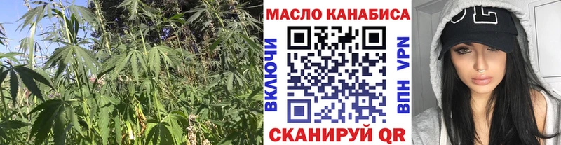 закладка  Камышин  Дистиллят ТГК концентрат 