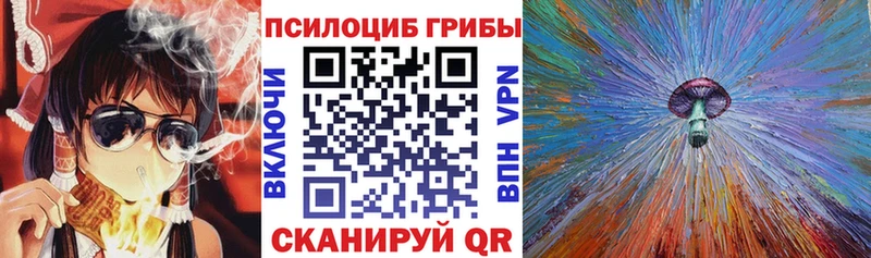 маркетплейс состав  Камышин  Галлюциногенные грибы Cubensis 
